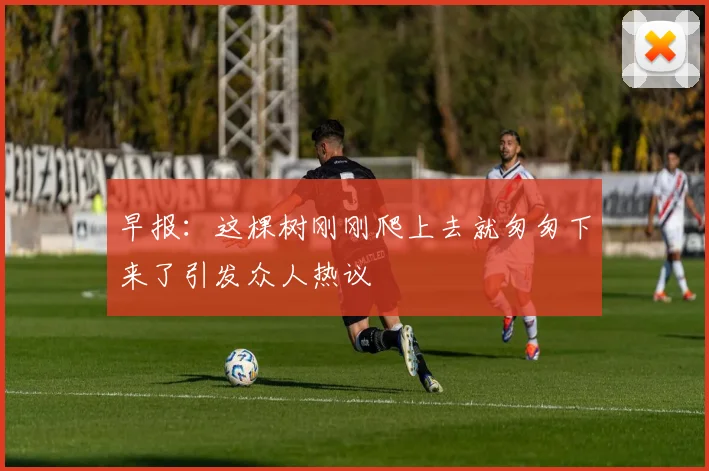 早报：这棵树刚刚爬上去就匆匆下来了引发众人热议