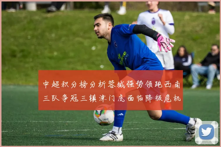 中超积分榜分析蓉城强势领跑西南三队争冠三镇津门虎面临降级危机